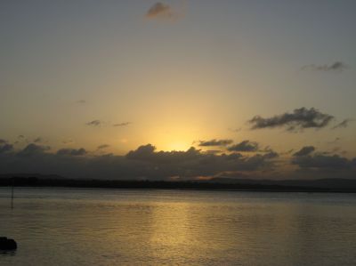 l0184.JPG