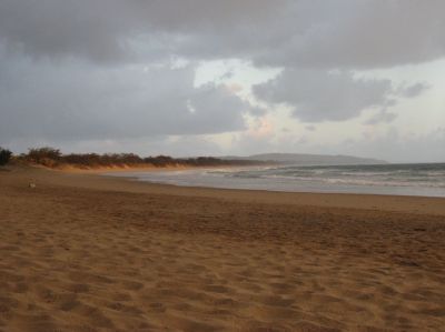 l0190.JPG
