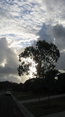 l0196.JPG
