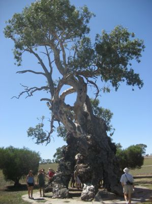 j0831.JPG
