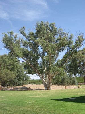 j0842.JPG