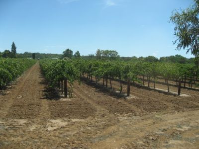 l0585.JPG