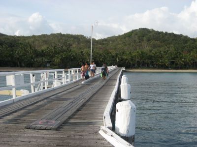 j0219.JPG