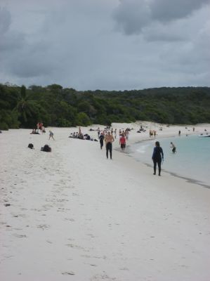 j0234.JPG