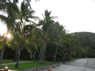 l0115.JPG