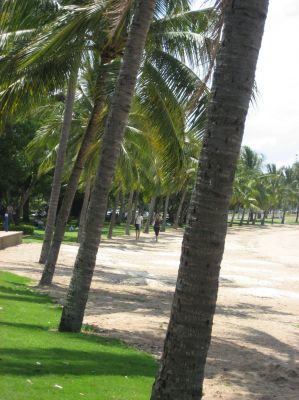 j0190.JPG
