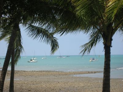 j0191.JPG
