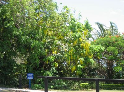 j0209.JPG
