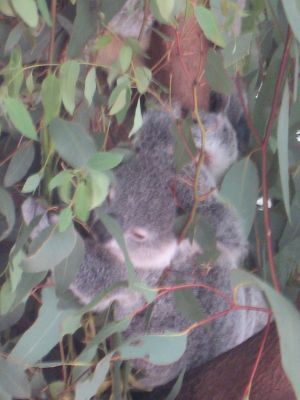 l0316.JPG