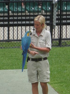 l0327.JPG