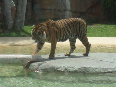 l0363.JPG