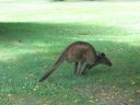 m0234.JPG