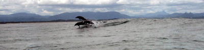 Picture_017.png