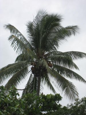 l0064.JPG
