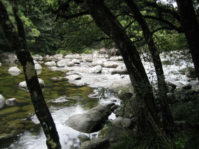 j0085.JPG