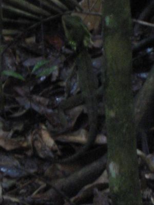 l0043.JPG