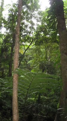 l0069.JPG
