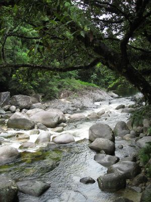 l0599.JPG