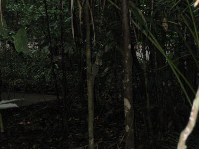 m0052.JPG