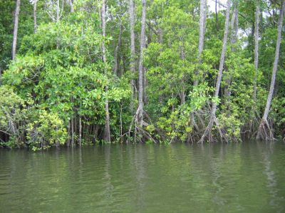 m0067.JPG