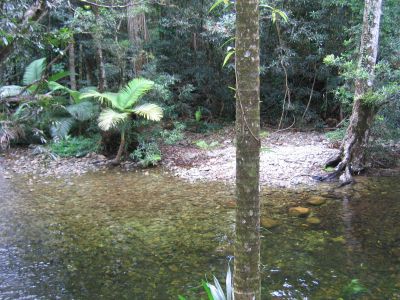 m0070.JPG