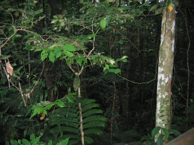 m0078.JPG