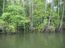 m0067.JPG