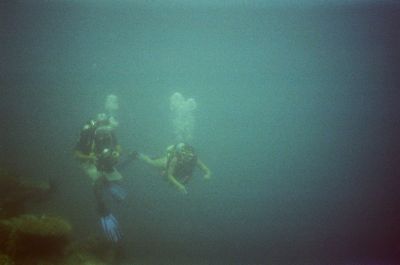 01980009.JPG