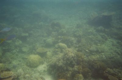 01980024.JPG
