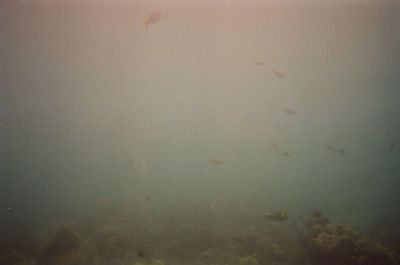 01980025.JPG