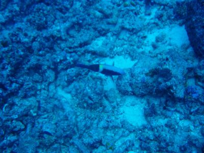 t0346.JPG