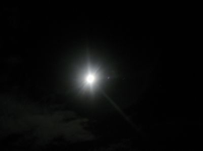 j1029.JPG