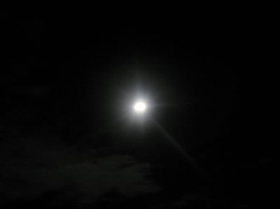 j1030.JPG