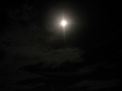 j1032.JPG