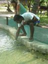Filename=l0653.JPG
Filesize=131KiB
Dimensions=480x640
Date added=Jun 22, 2012 l0653.JPG