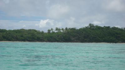 j0944.JPG