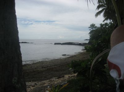 j0949.JPG