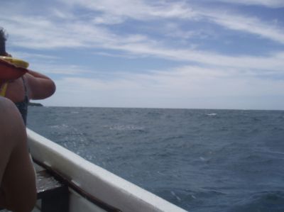 t0208.JPG