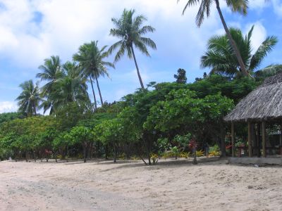 m0544.JPG