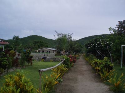 t0317.JPG
