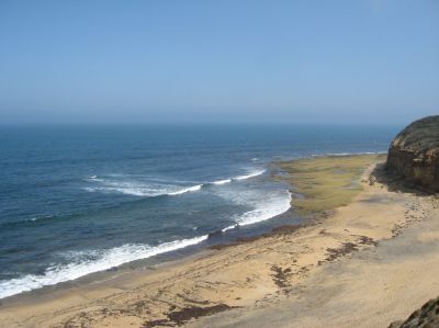 l0499.JPG