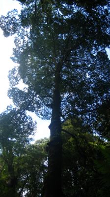 j0731.JPG