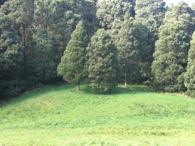 m0404.JPG