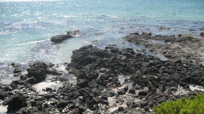 j0744.JPG