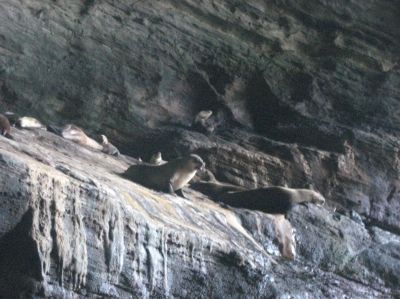 j0752.JPG