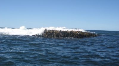 j0759.JPG