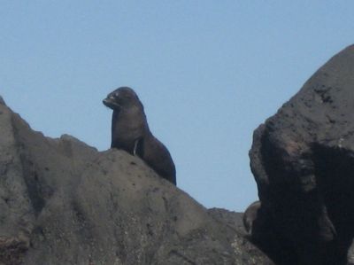 j0766.JPG