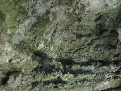 j0777.JPG