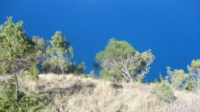 j0782.JPG