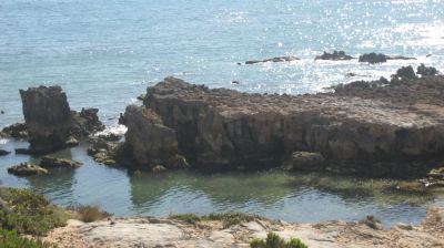 j0791.JPG